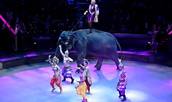 Первый турнир международной Борцовской лиги Поддубного 19-20.05.2022 (Москва)_209