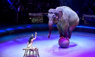 Первый турнир международной Борцовской лиги Поддубного 19-20.05.2022 (Москва)_214