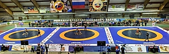 Чемпионат России по греко-римской борьбе 2017, Владимир_63
