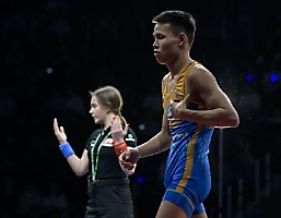 Первенство России по спортивной борьбе (дисциплина: греко-римская борьба) среди юношей до 18 лет (2006-2007 гг. р.) памяти А.И. Найвальта 