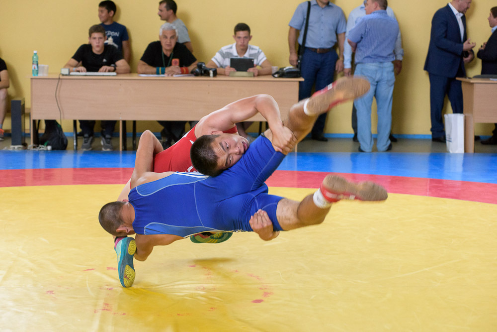 Фестиваль спортивной борьбы 41 армии - 2017, Новосибирск_4