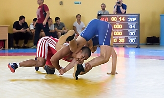 Фестиваль спортивной борьбы 41 армии - 2017, Новосибирск_45