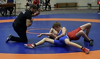 45-й Всероссийский турнир по греко-римской борьбе, посвящённый памяти бердчанина, Героя Социалистического Труда Льва Ивановича Максимова