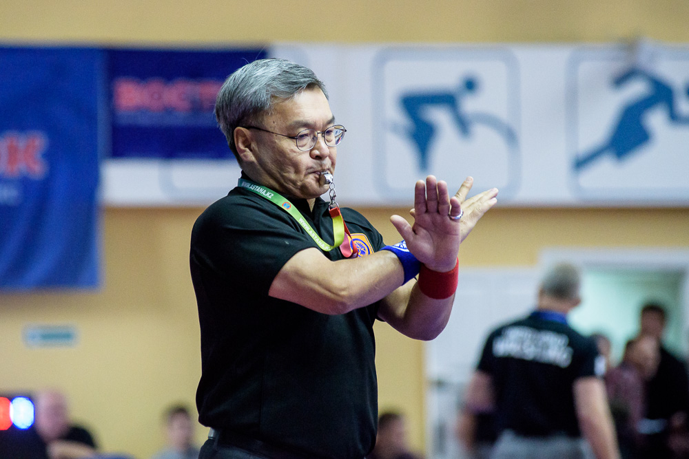 XXII открытый Всероссийский турнир по греко-римской борьбе, посвящённый памяти Александра Нестеренко, 23-24.09.2017_11