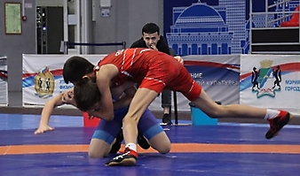 Фестиваль борьбы-2024 