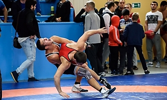 XXII открытый Всероссийский турнир по греко-римской борьбе, посвящённый памяти Александра Нестеренко, 23-24.09.2017_6