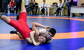 XXII открытый Всероссийский турнир по греко-римской борьбе, посвящённый памяти Александра Нестеренко, 23-24.09.2017_11