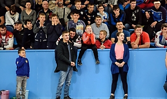 XXII открытый Всероссийский турнир по греко-римской борьбе, посвящённый памяти А. Нестеренко, 23-24.09.2017