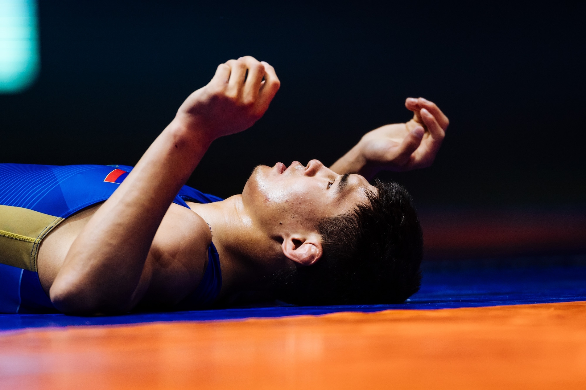 Мемориал Аксёнова-2025 (фото Александр Лукин/Карелин-Фонд)_548