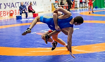 Кубок России по спорту глухих (дисциплина греко-римская борьба, вольная борьба)-2025_126