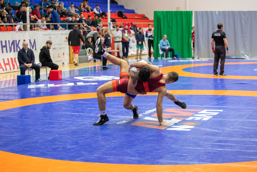Кубок России по спорту глухих (дисциплина греко-римская борьба, вольная борьба)-2025_139