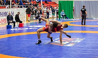 Кубок России по спорту глухих (дисциплина греко-римская борьба, вольная борьба)-2025_139