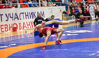 Кубок России по спорту глухих (дисциплина греко-римская борьба, вольная борьба)-2025_148