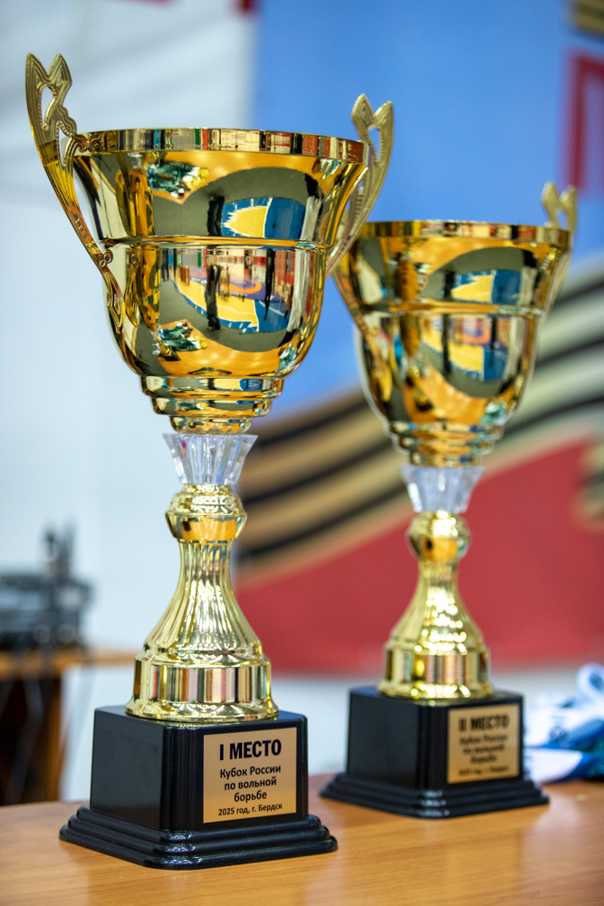 Кубок России по спорту глухих (дисциплина греко-римская борьба, вольная борьба)-2025_186