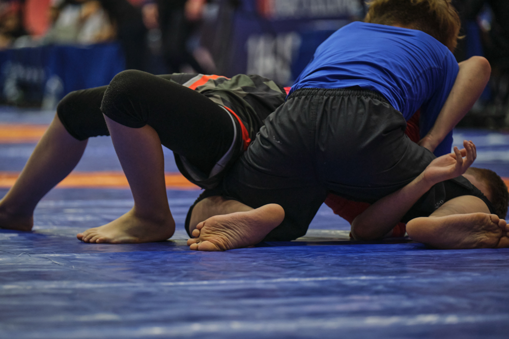 V Всероссийские соревнования  по грэпплингу и грэпплинг-ги памяти В. Ф. Захарова_119