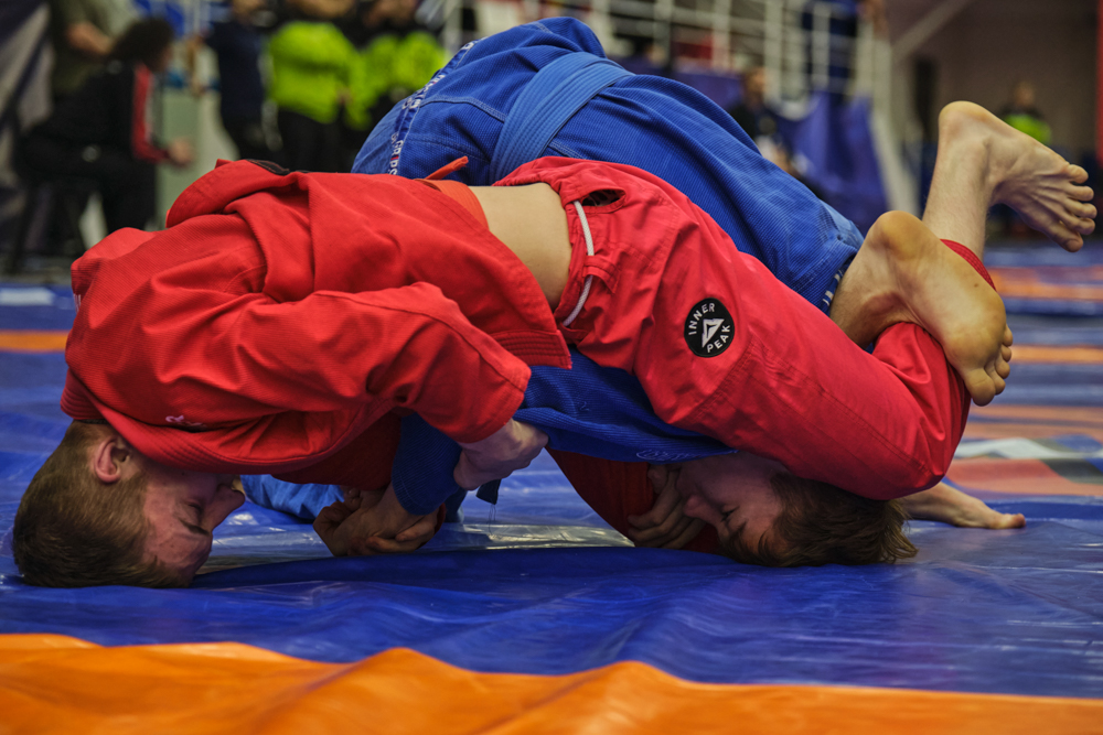 V Всероссийские соревнования  по грэпплингу и грэпплинг-ги памяти В. Ф. Захарова_346