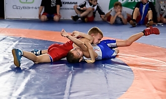 VI Межрегиональный турнир по греко-римской борьбе «Кубок единства», 2017, Бийск_19