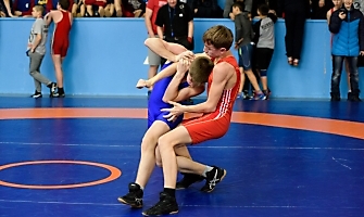 Первенство НСО по ГРБ среди юношей до 16 лет, 21.02.2018-фото_15