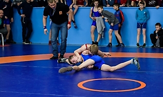 Первенство НСО по ГРБ среди юношей до 16 лет, 21.02.2018-фото_17