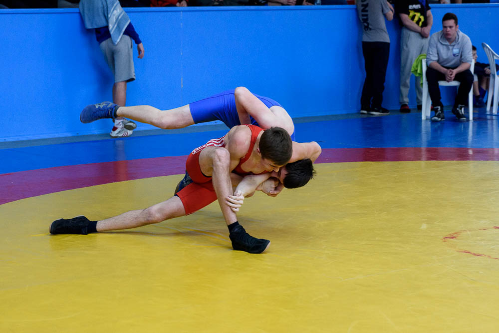 Первенство НСО по греко-римской борьбе, 01.03.2017_11