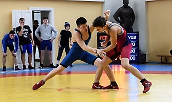 Кубок НСО по греко-римкой борьбе 2016_29