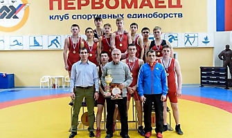 Кубок НСО по греко-римкой борьбе 2016_40